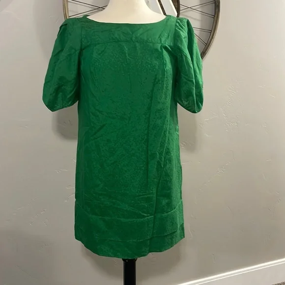 green emerald velvet dress Flowerworks Puff Sleeve Flare Dress  3.1 Phillip Lim